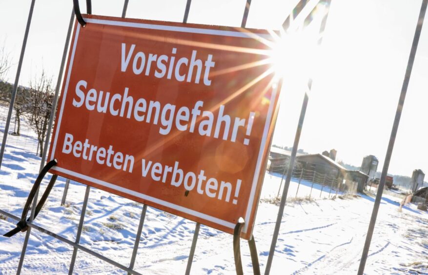 A sign reading "Beware, danger of epidemic! No entry allowed!" hanging on a fence at a farm in Germany this week.