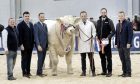 Charolais overall championship presentation to Hareston Uplift, from R&N Barclay, of Insch.