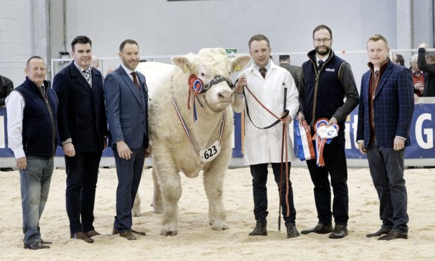 Charolais overall championship presentation to Hareston Uplift, from R&N Barclay, of Insch.