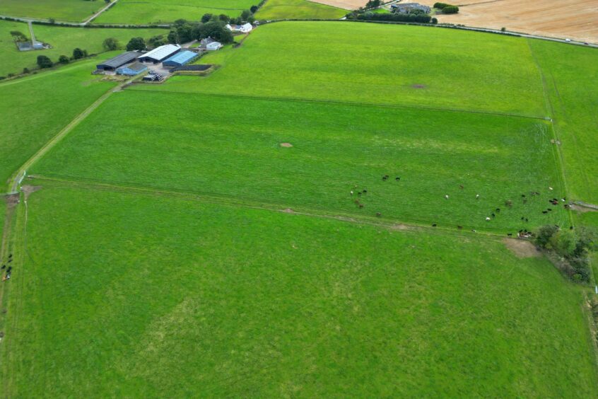 The farm as seen from above. 