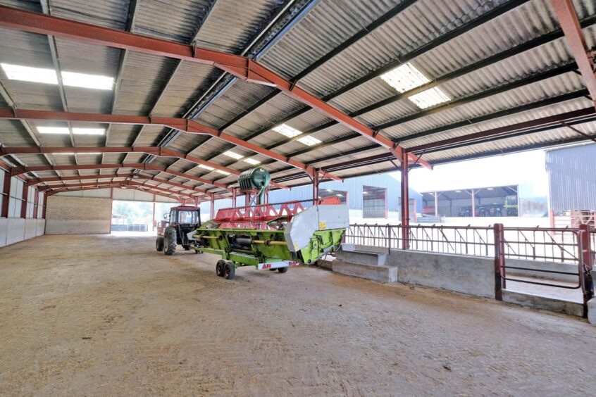 Inside one of the farm's agricultural sheds. 