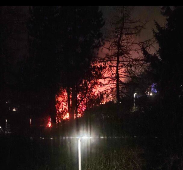 Flames seen through trees 