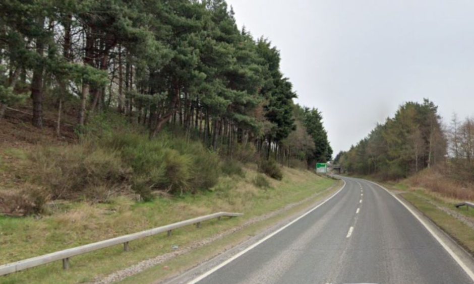 Trees line the left side of the A9 northbound between the Alness Point and Dalmore Distillery.