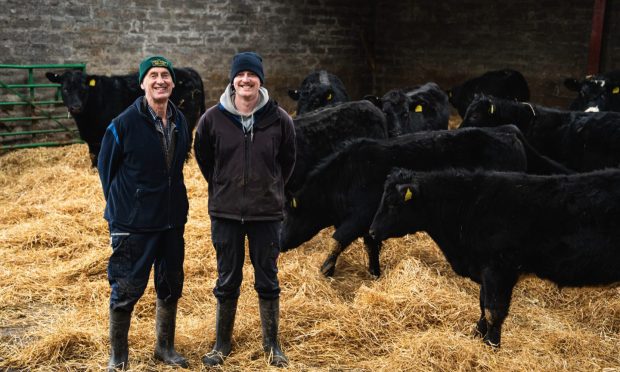 Douglas and Duncan Miller with their yearling steer calves.