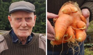 Arthur Nicol and his giant carrot