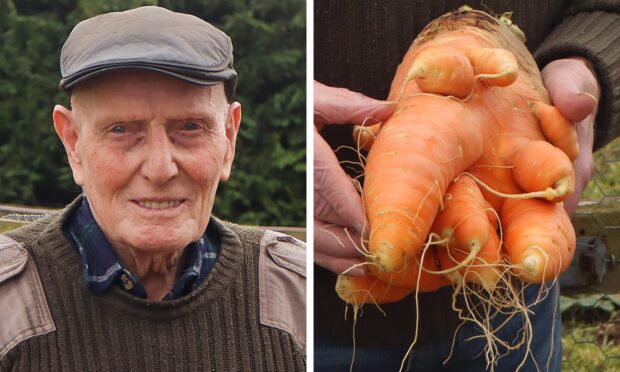 Arthur Nicol and his giant carrot