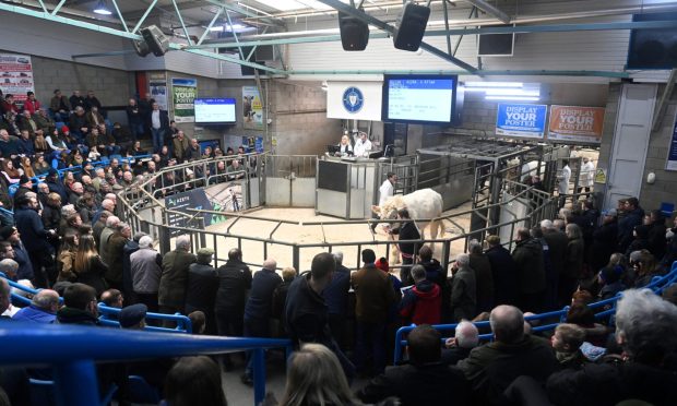 A bumper crowd looks on at the 2022 Royal Northern Spring Show at Thainstone Mart.