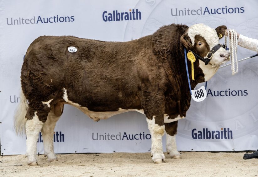 Corskie Pier sold for 20,000gns.