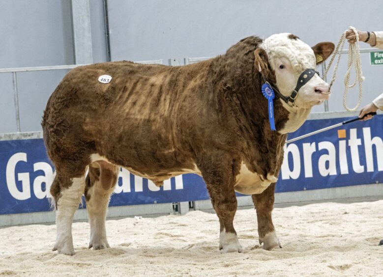 Corskie Prime fetched 26,000gns.