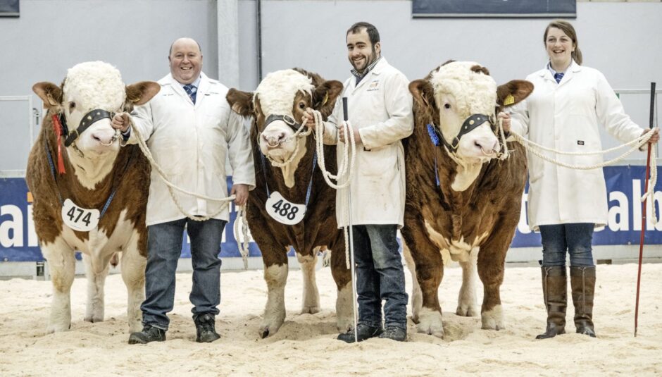 The Green family, of Corskie Farm, with their three 20,000gns-plus bulls.