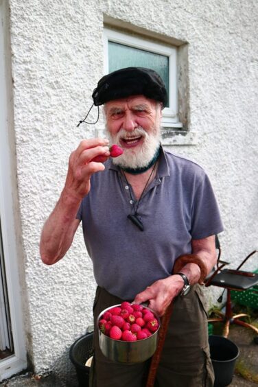 Eoghann Maclachlainn's garden produced many strawberries. 