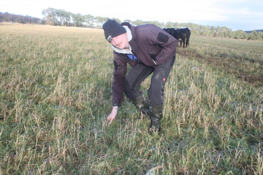 Duncan Miller shows the growth of grass before deferred grazing