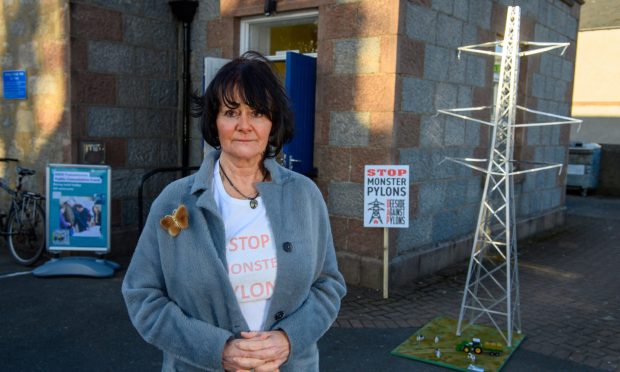 Campaigner Eileen West from Deeside Against Pylons. Image: Kenny Elrick/DC Thomson.