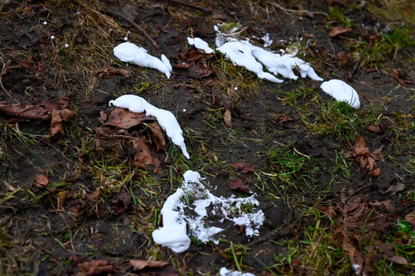 white foam on ground