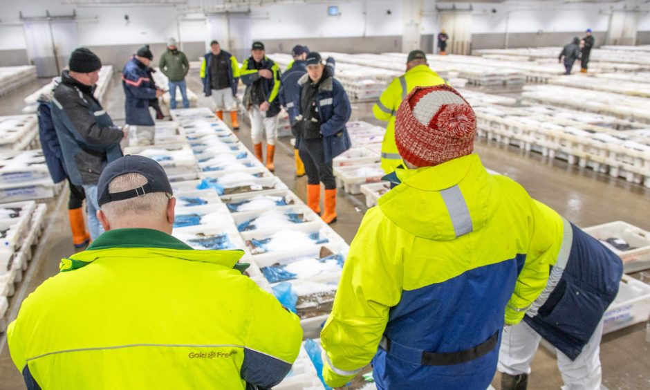 Buyers fight to get the best price at Peterhead Fish Market. Image: Kami Thomson/DC Thomson