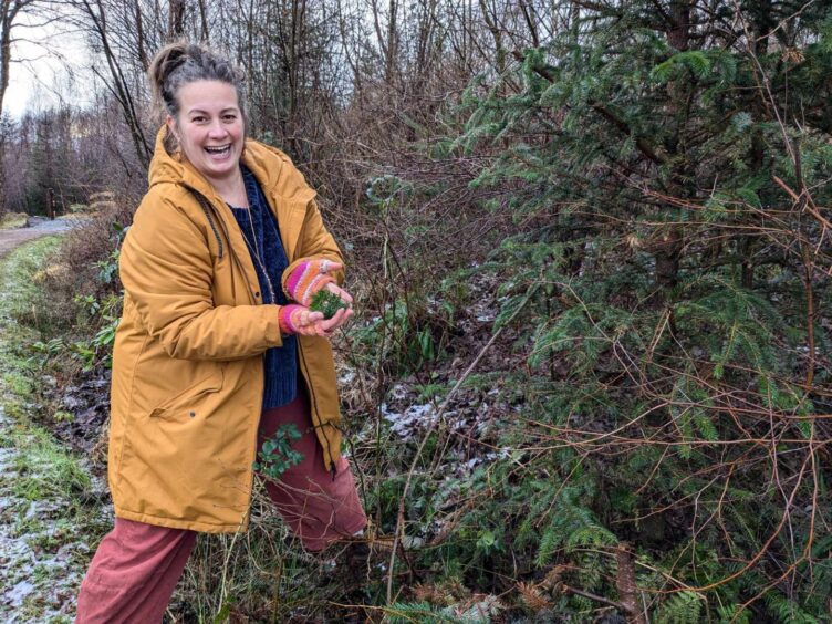 Lucy Cooke foraging pine needles in Glen Nevis.