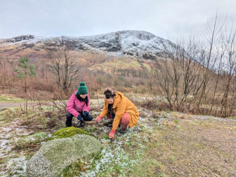 Gayle and Lucy foraging in Glen Nevis.