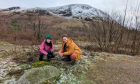 Gayle goes winter foraging with Lucy Cooke, aka The Wild Cooke, in Glen Nevis.