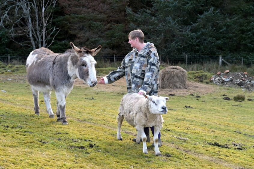 Leanne Smith with donkey and sheep.