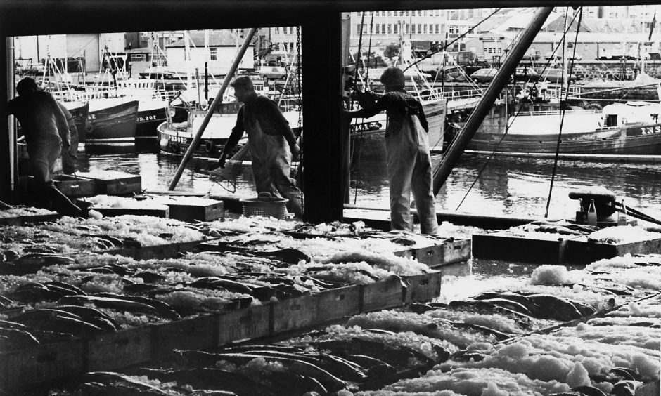 Peterhead Fish Market has changed a lot since this picture from 1980. Image: DC Thomson