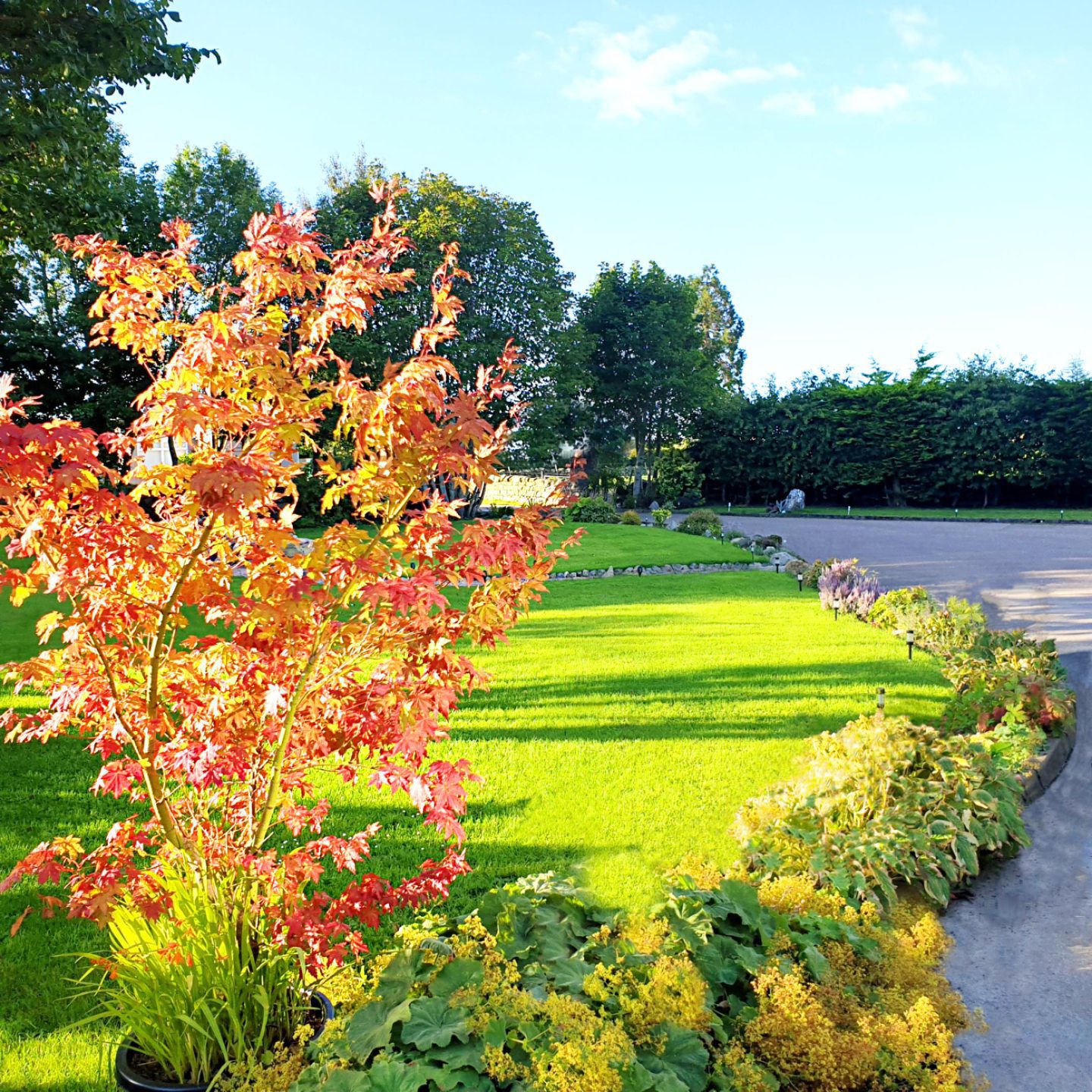 Bogenraith House grounds 