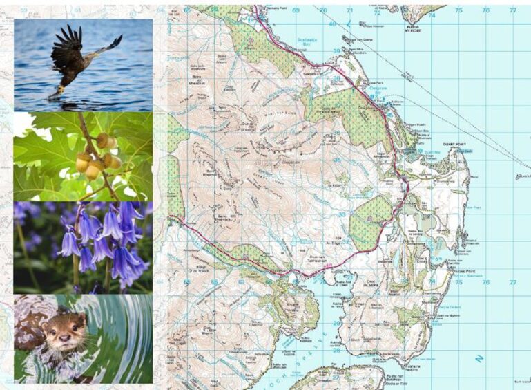 Planning Ahead Oban and Fort William