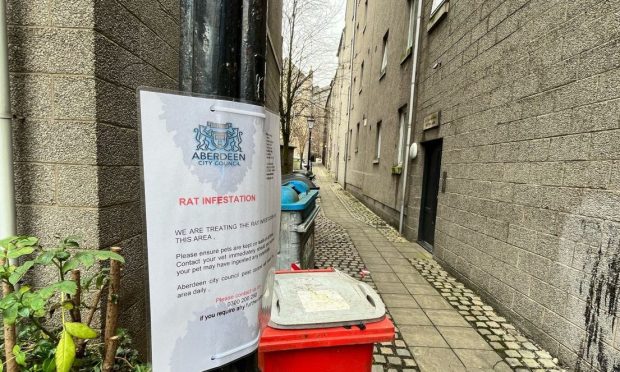 A poster at the entrance to Martin's Lane warns over a rat infestation. Image: Supplied.