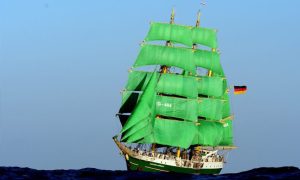 Alexander von Humboldt II.