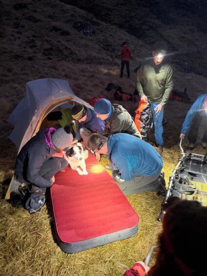 Lochaber Mountain Rescue Team dog