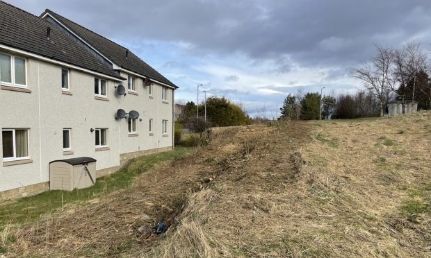 The gorse has finally been removed behind these homes in Elmwood Avenue. Image: DC Thomson