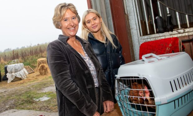 British Hen Welfare Trust hen rehoming event in Stonehaven. Image: Kath Flannery/DC Thomson