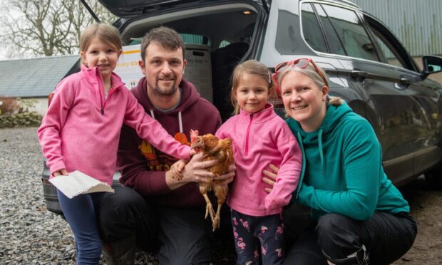 British Hen Welfare Trust hen rehoming event this weekend. Image: Kath Flannery/DC Thomson