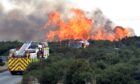 Flames rising beyond the bushes behind fire engines.