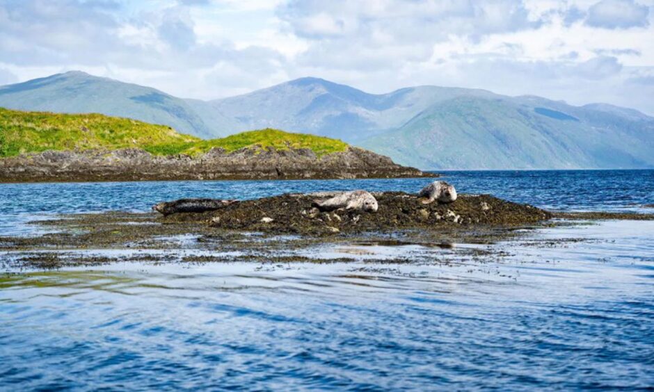 Eilean Loch Oscair.