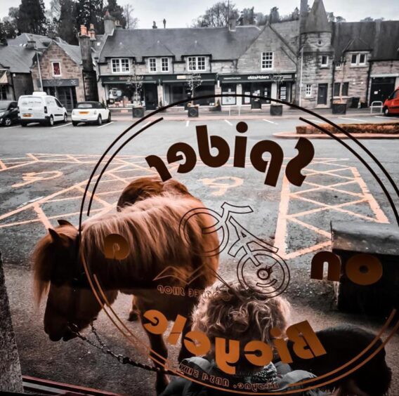 A pony and a dog and a customer outside Spider on a Bicycle in Aboyne. 