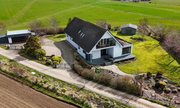 Friday Hill, pictured, is a serene sanctuary with wonderful views of the countryside.