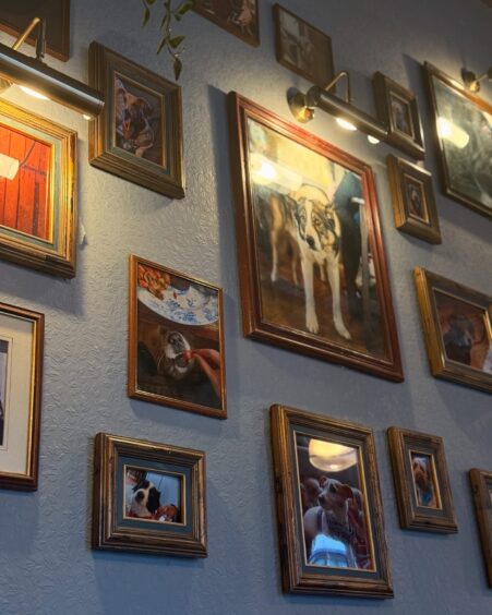 Dog gallery at The Craftsman Company