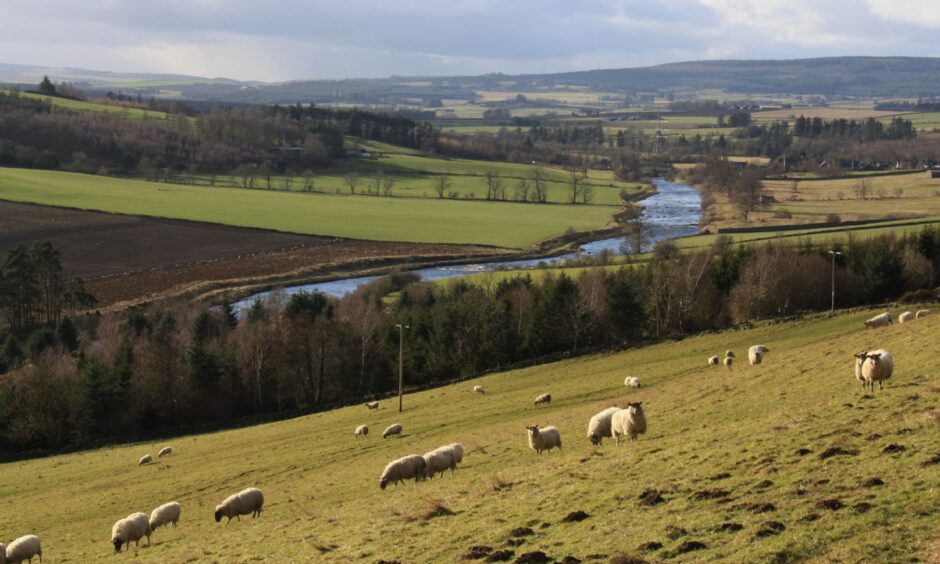 The turbine could spoil the view of the Rothiemay countryside according to Mr X. Image: William Elliott