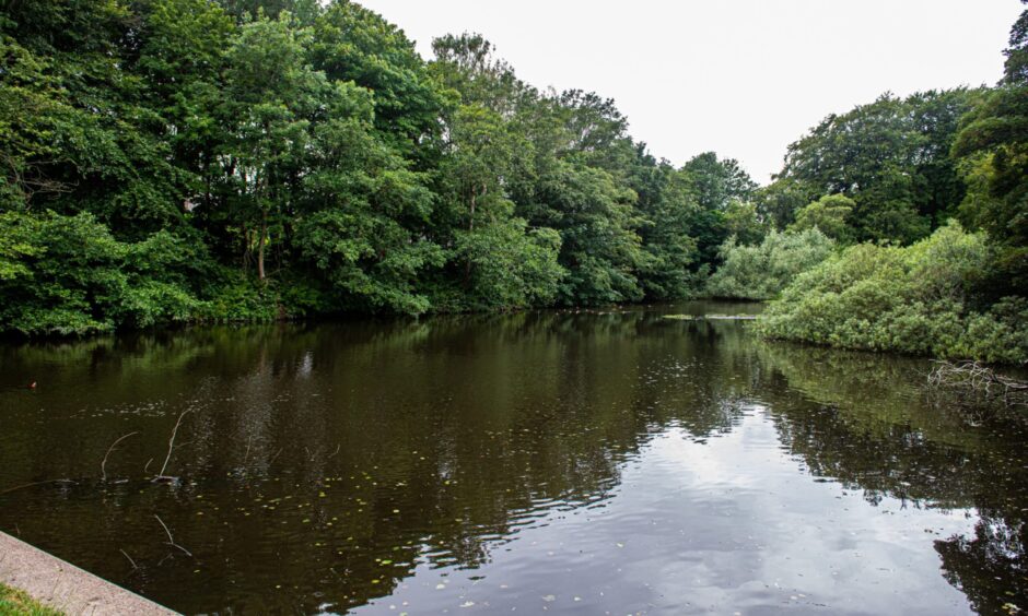 The new home would be right next to Walker Dam. Image: Wullie Marr/DC Thomson