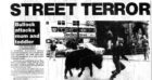 The escaped bull before its reign of terror ended at Castlegate. Image: DC Thomson