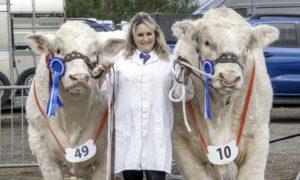 Michele Hanson from Upper Dykemyres Farm, Forgie, Keith, with a double handful in the Charolais competition.
Lot 10 was reserve senior champion, while lot 49 was junior champion and reserve overall.