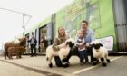 David and Carol Tennant, with their two-year-old son, Arthur, and farmyard animals on an Edinburgh tram. Image: Muckle Media