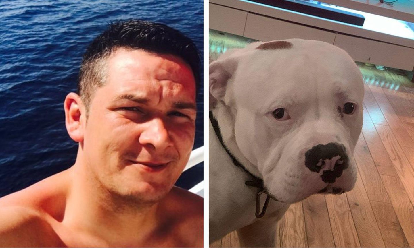 Weekend court roll – a dog strangler and a killer son
