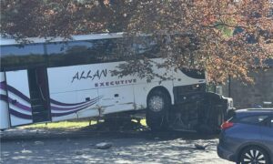 The bus veered off road. Image: Supplied