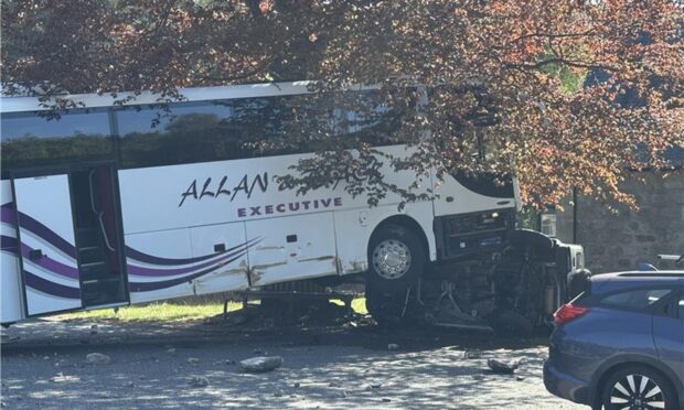 The bus veered off road. Image: Supplied
