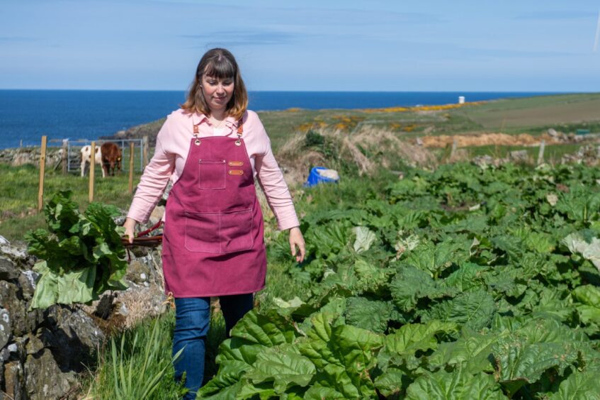 Carole walking through rhubarb patch 