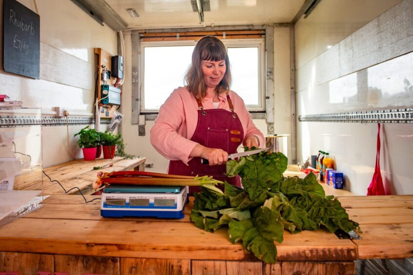 Carole prepping the rhubarb 