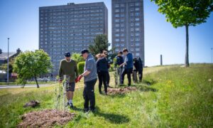 A community group is transforming one of the busiest roundabouts in Aberdeen into a food forest. Image: Kath Flannery/DC Thomson