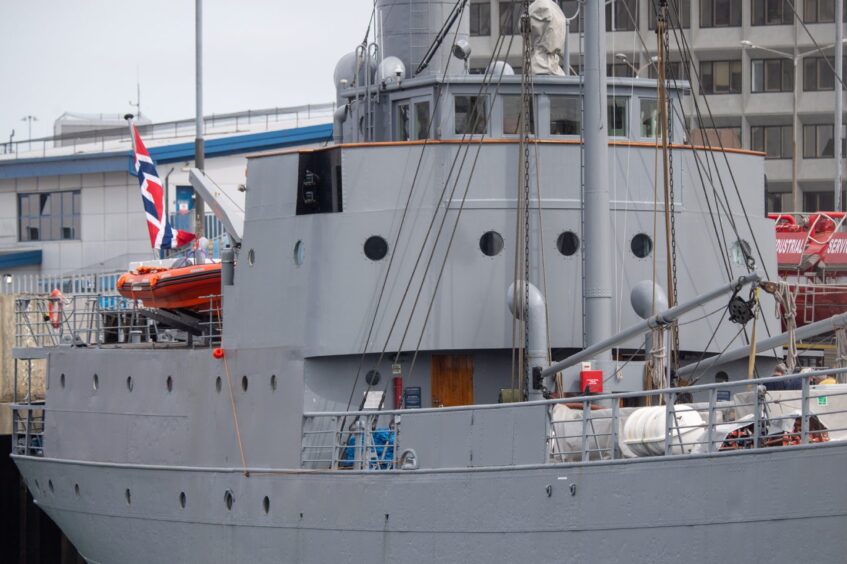 Close-up shot of Hestmanden