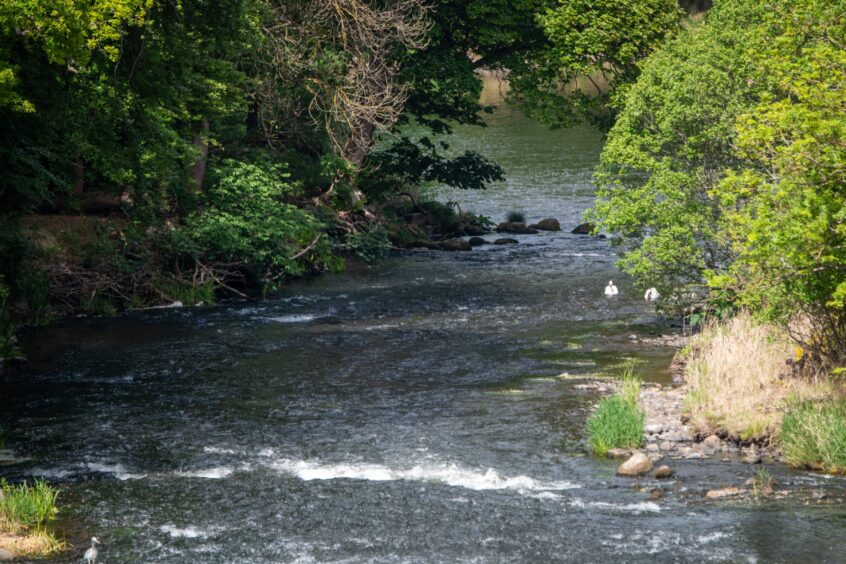 Looking east down the River Don from Persley Bridge